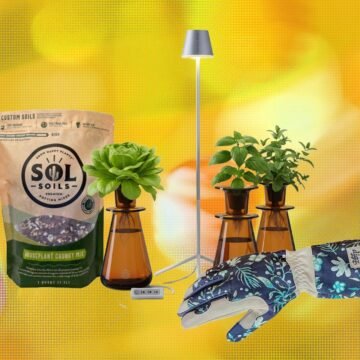 19 Best Gifts for Plant Lovers and Gardeners (2026)