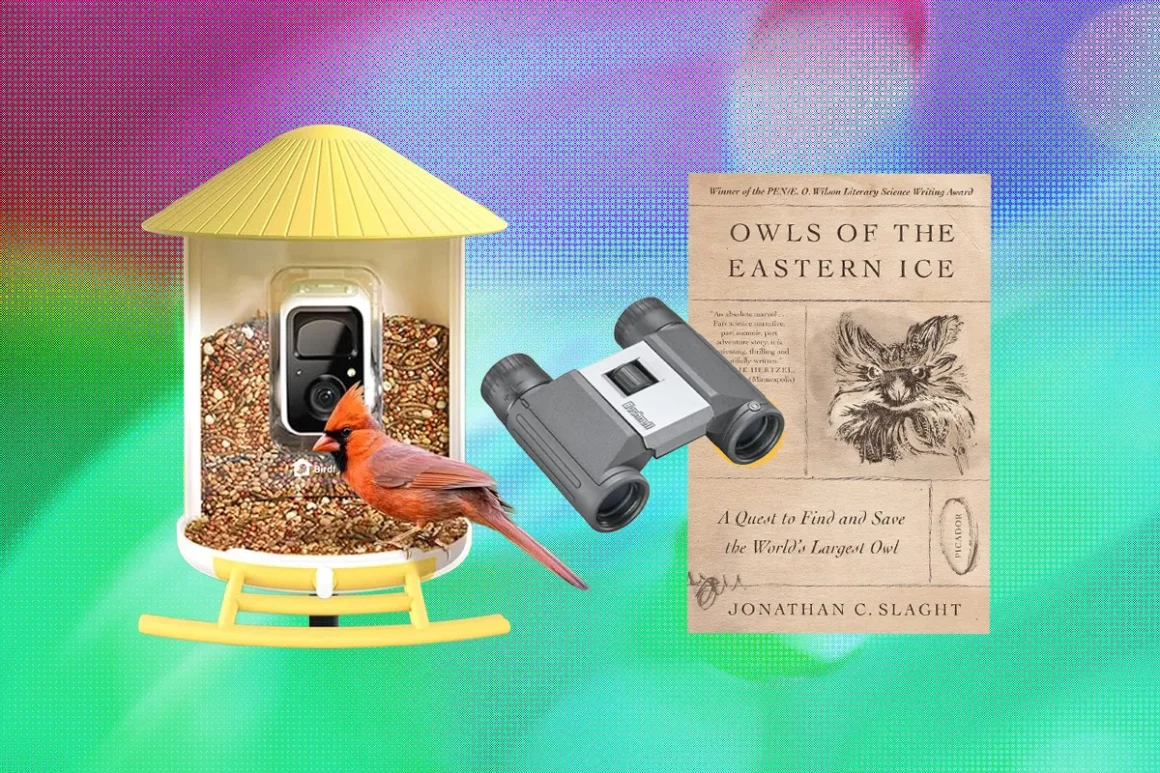 The best gifts for bird lovers