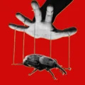 Kernelpanic the php meltdown shows how ai makes bugs more exploitable